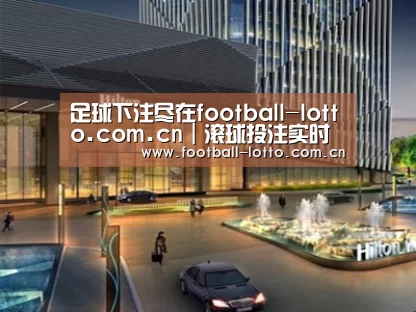 案例展示二