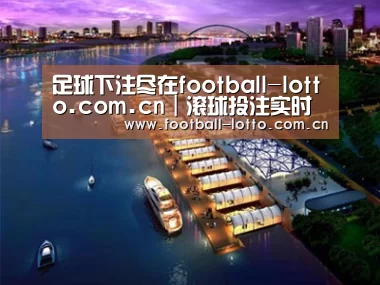 案例展示八