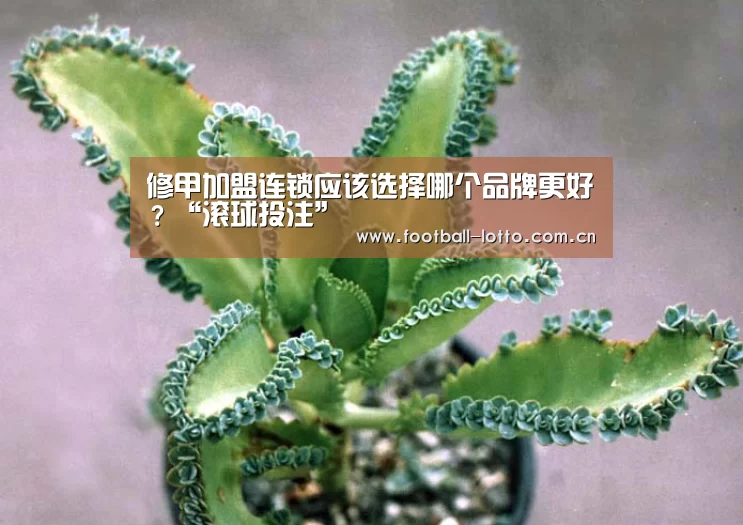 修甲加盟连锁应该选择哪个品牌更好?“滚球投注”(图4) 足球下注