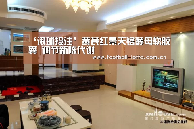 ‘滚球投注’黄芪红景天铬酵母软胶囊 调节新陈代谢(图2) 足球下注