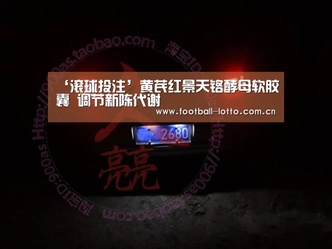 ‘滚球投注’黄芪红景天铬酵母软胶囊 调节新陈代谢(图4) 滚球投注