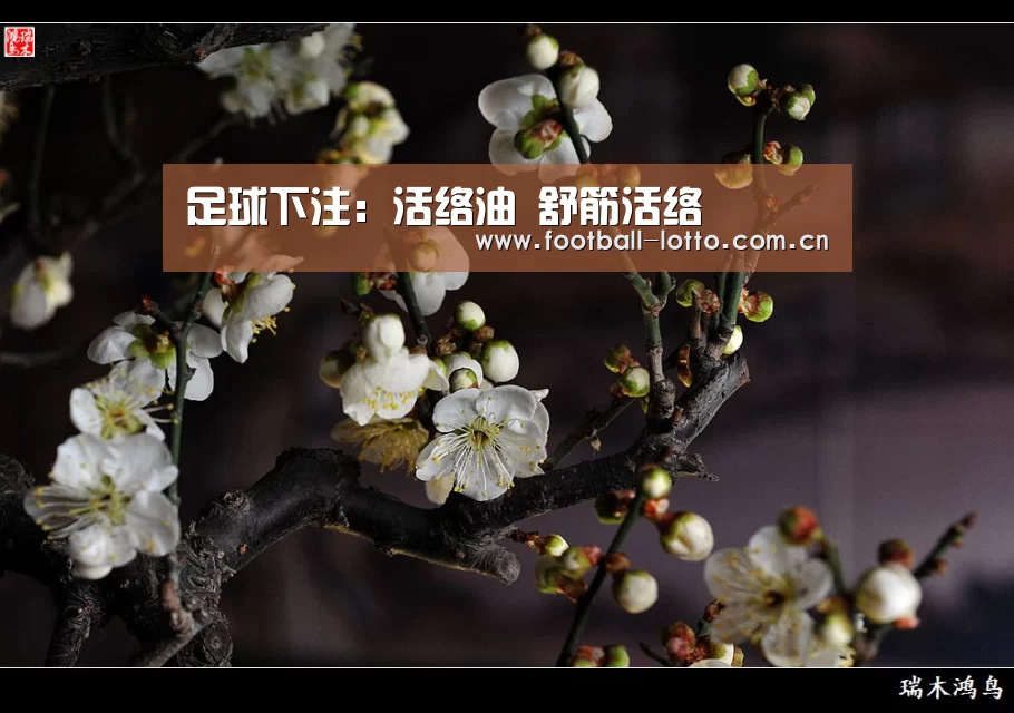 足球下注:活络油 舒筋活络(图1) 滚球投注