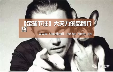 【足球下注】大天力的品牌介绍(图1) 足球下注
